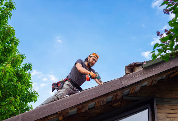 Best Skylight Installation and Repair  in Byers, CO